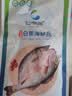 仙泉湖三去白蕉海鲈鱼1斤/条净膛刺少肉厚珠海特产500g海鲜水产生鲜食材 实拍图
