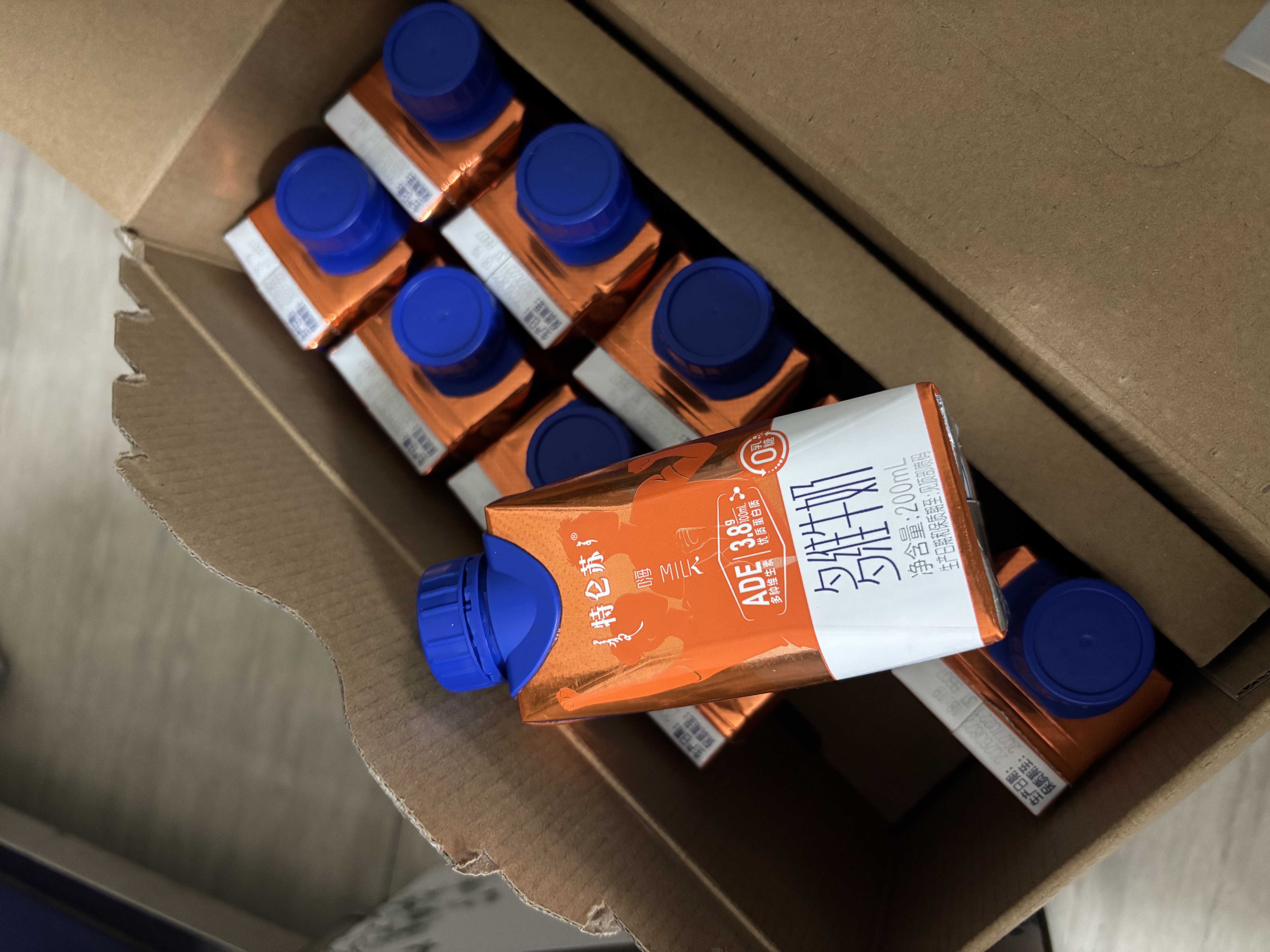 蒙牛特仑苏嗨MILK复合维生素牛奶梦幻盖200mL×10 3.8g蛋白 送礼 实拍图