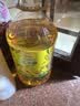 金龙鱼 食用油 非转基因 物理压榨玉米油6.18L（蕴含植物甾醇） 实拍图