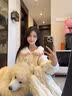 库洛米珊瑚绒母女儿童睡衣加厚秋冬2026新款亲子家居服法兰绒套装 32118【保暖款-花瓣领】紫紫 100 童8码身高建议100-110CM 实拍图