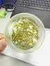 狮峰牌2026年新茶绿茶西湖龙井茶叶明前特级20g入门品鉴装自己喝 实拍图