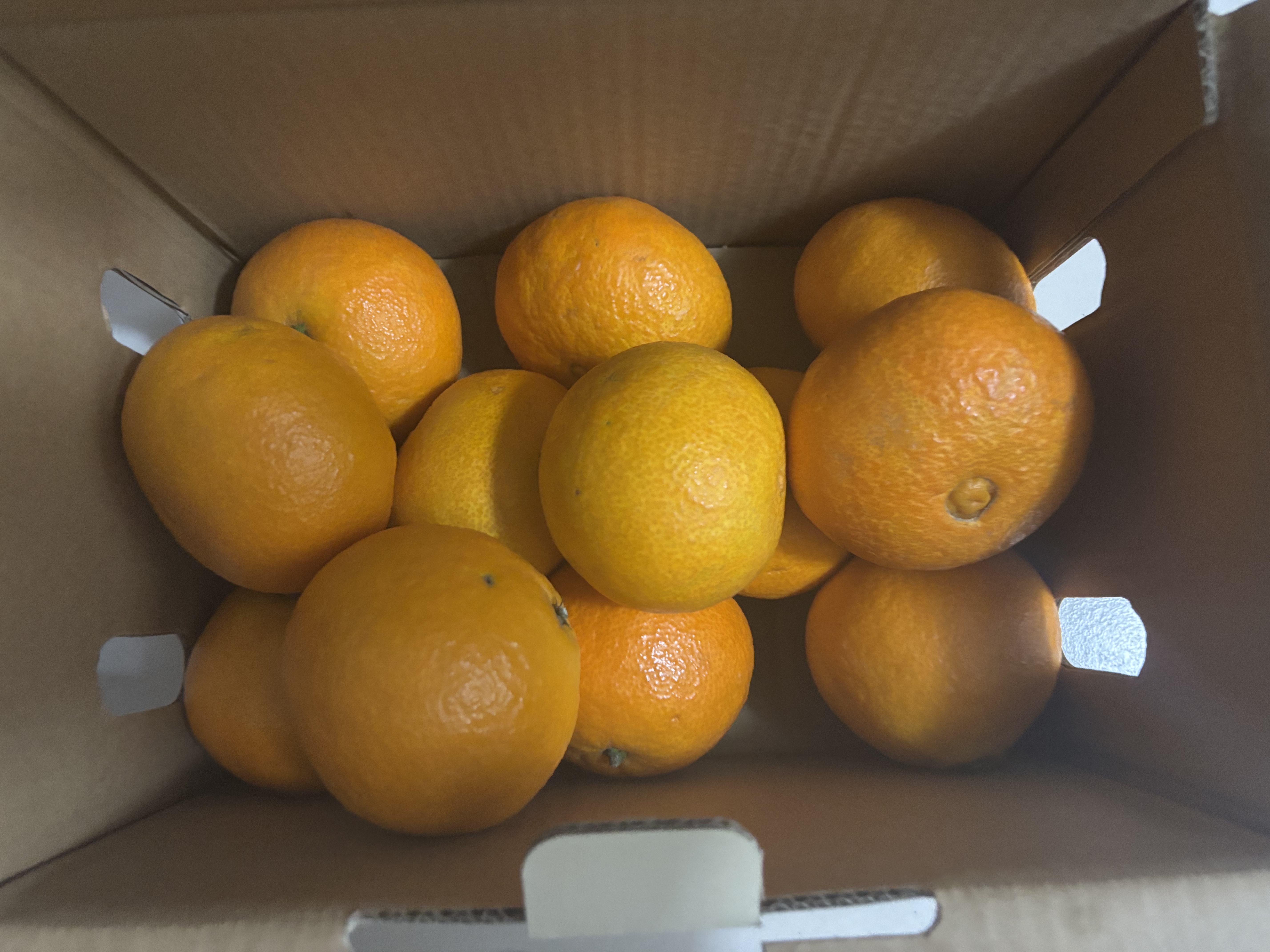 【整箱】爱媛果冻橙2.5kg 实拍图