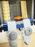 乐高（LEGO）积木城市组60456 警用巡逻艇大追击男女孩儿童玩具生日礼物 实拍图