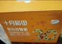 十月稻田30日五谷杂粮粥礼盒 9斤(150g*30袋) 小米八宝粥米 企业采购福利 实拍图