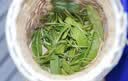 立白茶籽洗洁精2.9kg A类去污洁净99.9%除菌去油快不伤手洗涤灵洗碗液 实拍图