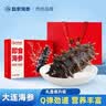 赵家大连即食海参海鲜水产底播刺参净含量1斤5-8只 礼盒源头直发 实拍图