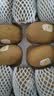 佳沛（zespri）新西兰金奇异果10个装单果重103-114g猕猴桃水果礼盒 实拍图