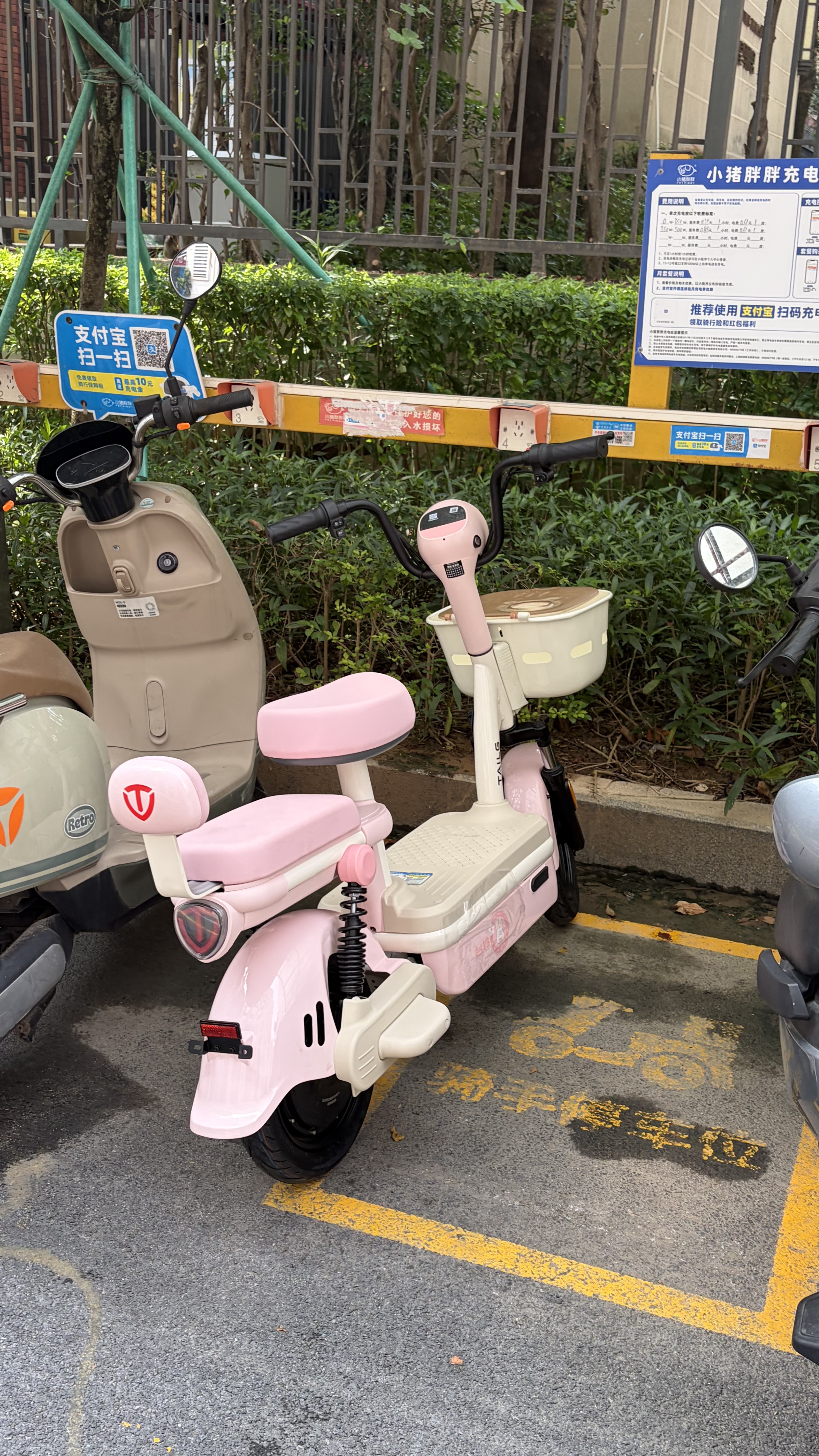 台铃电动自行车萌蜜2026新国标电动车48V20AH铅酸电池长续航可上牌男女通勤上班代步电瓶车蜜桃粉 实拍图