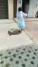 迪士尼儿童雨衣长款女童加厚卡通雨披小学生幼儿带背包位小孩公主防水衣 70031帽檐款 冰雪粉色 M码/适合110-120cm 实拍图