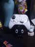 飞智沙漠狐 多模版无线游戏手柄 switch2电脑PC手机steamNS 原神星露谷物语【手柄+接收器】 实拍图