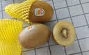 佳沛（zespri）新西兰金奇异果10粒巨大果146-175g猕猴桃水果礼盒 实拍图