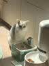 LEGENDSANDY蓝氏全价猫粮生骨肉冻干成猫幼猫猎鸟乳鸽9kg(1.5kg*6)【囤货装】 实拍图
