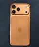 Apple/苹果iPhone 17 Pro Max 256GB 星宇橙色 移动联通电信5G双卡双待手机 送礼好物 实拍图