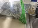 阳澄湖大闸蟹母蟹2.5两/只 实拍图