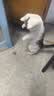 凯锐思猫粮鲜肉幼猫猫粮1-12月奶糕助力免疫鲜肉冻干双拼幼猫粮 【助力成长】4-12月鲜肉冻干双拼4斤 实拍图