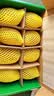 佳沛（zespri）新西兰金奇异果8粒特大果124-146g猕猴桃水果礼盒 实拍图