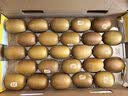 佳沛（zespri）金奇异果25-27粒原箱特大果124-146g猕猴桃水果礼盒 实拍图