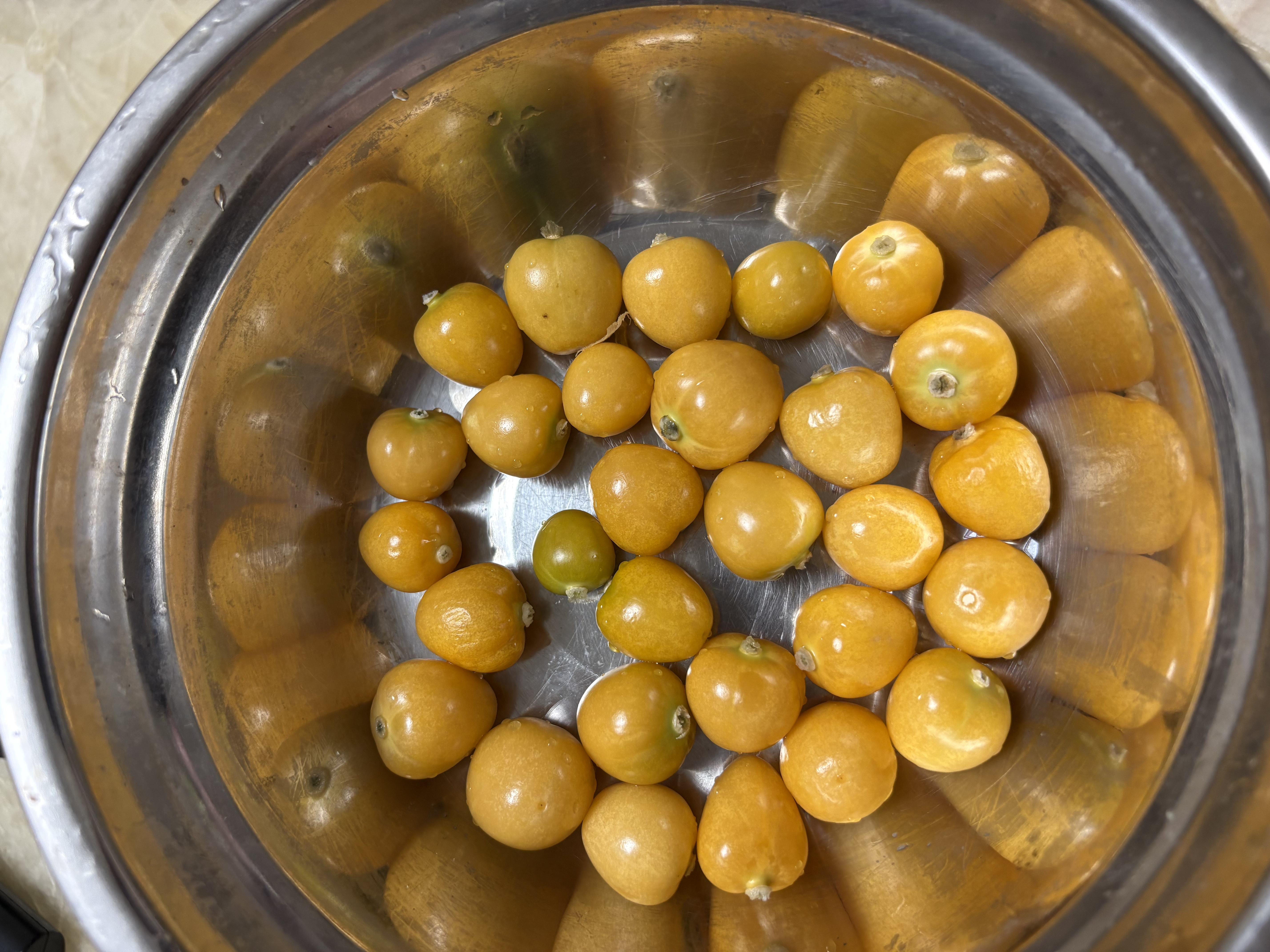 京觅东北姑娘果 净重2斤装 灯笼果黄菇娘洋菇茑 新鲜水果 源头直发 实拍图