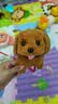 Honey Joy仿真毛绒儿童玩具会走路会叫电动拉布拉多棕色男孩女孩生日礼物 实拍图