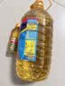 多力经典葵花籽油5L+玉米油238ml 一级压榨食用油 实拍图
