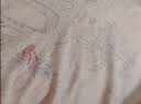 贝肽斯胎脂皮婴儿衣服夏季新生儿宝宝连体衣男女童短袖哈衣爬服 实拍图