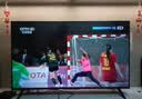 TCL雷鸟电视 43英寸 43雀5 一级能效 144Hz高刷 1.5+32GB内存  平板电视43F295C-JN 实拍图