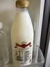 光明 致优 4.0娟姗牛鲜牛奶 800ml*1瓶  家庭装鲜奶 低温奶 定期购 实拍图