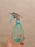 喷壶浇花浇水喷雾器气压式喷水壶家用园艺养花500ml 南瓜喷壶透蓝【1个装】 实拍图