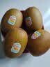 佳沛（zespri）新西兰金奇异果10粒巨大果146-175g猕猴桃水果礼盒 实拍图