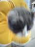 华元宠具（hoopet）猫咪伊丽莎白圈项圈宠物狗狗圈耻辱圈颈圈脖圈头套犬防舔头罩头套 实拍图