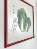 紫腾随轩白菜装饰画餐厅挂画新中式客厅沙发背景墙画饭厅墙面壁画 百财 60*60cm红木色实木框 实拍图