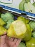 【即食】太婆梨4粒600g 实拍图