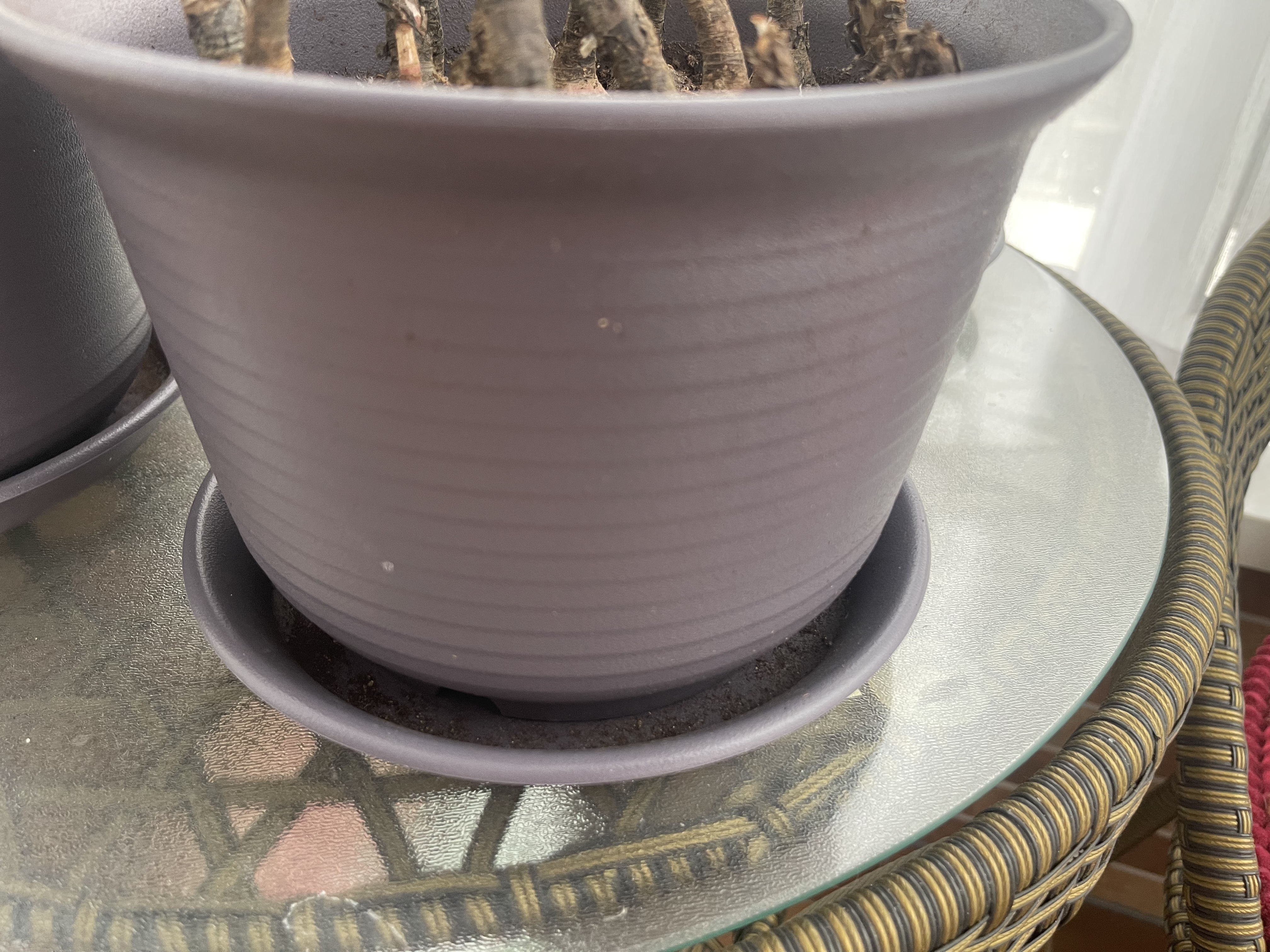 九千谷花盆创意仿陶瓷矮款黑灰色2个装 高档加厚树脂花盆口径20.7cm4016 实拍图