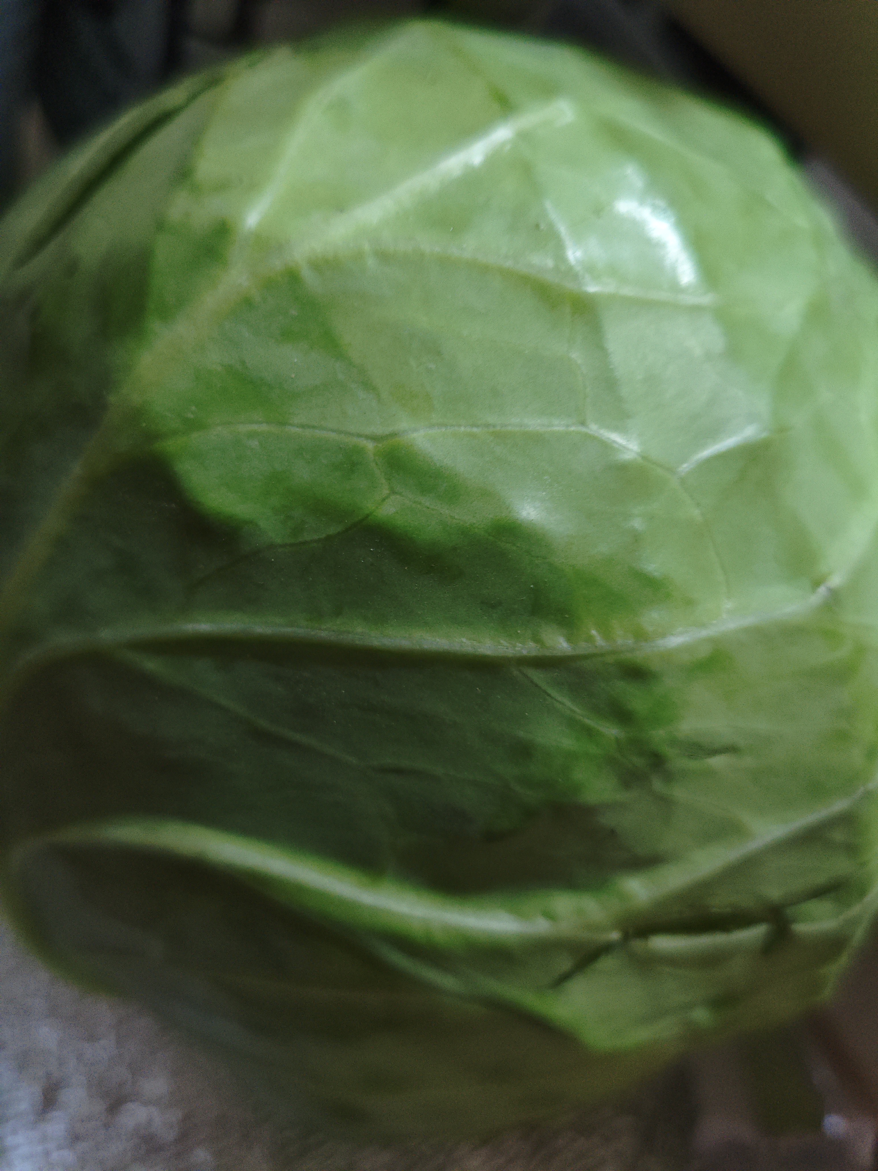 高原夏菜新鲜包菜卷心菜绿甘南菜甘蓝圆白菜时令蔬菜健康营养早餐 1.5斤-2斤高端标准菜 实拍图