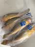 三都港 冷冻黄花鱼700g/2条装 新鲜大黄鱼 深海鱼 生鲜 鱼类 海鲜水产 实拍图