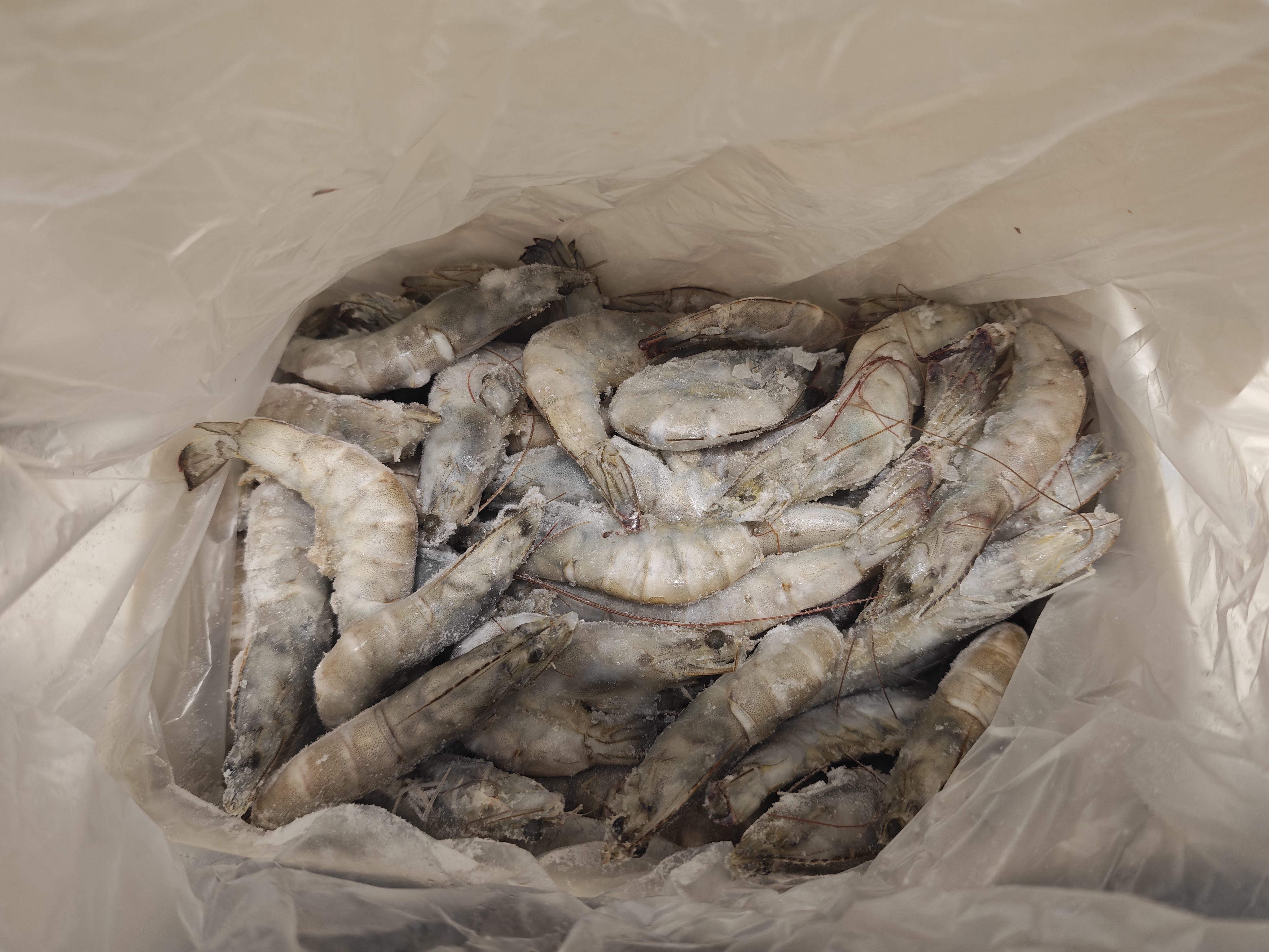 东上御品 国产盐冻大虾 白虾40/50规格 净重3斤 生鲜虾类-源头直发 实拍图
