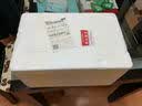 京鲜生新疆恐龙蛋 李子 特级 净重3斤单果70g+ 新鲜水果 源头直发包邮 实拍图