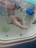 babycare婴儿游泳裤短裤式防水尿不湿L码6片/包 实拍图