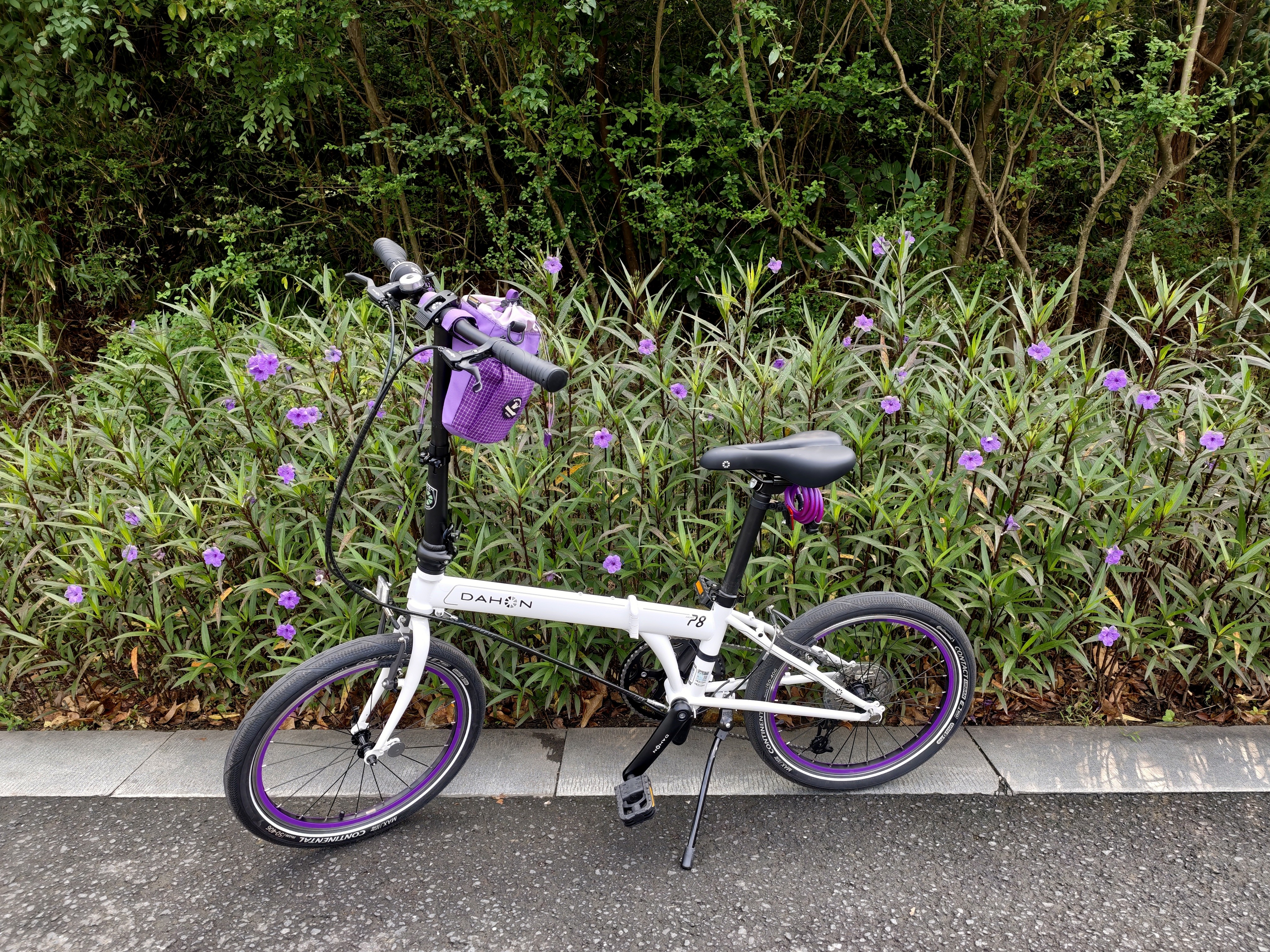 大行（DAHON）P8折叠自行车经典成人20英寸8速折叠车男女式运动单车KBC083 白色【经典版】 实拍图