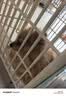 LEGENDSANDY蓝氏狗粮真鲜乳鸽中小型犬生骨肉冻干鲜肉犬粮250g 实拍图