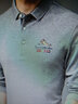 袋鼠纯棉长袖T恤男士POLO领商务休闲时尚T恤衫透气纯色长袖翻领体恤男装 QE9582灰色 175 /XL（建议140-155斤） 实拍图