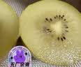 佳沛（zespri）新西兰金奇异果12粒特大果124-146g猕猴桃水果礼盒 实拍图