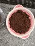史丹利椰糠砖650g 椰土砖椰砖营养土脱盐花土耶砖种菜通用型 实拍图