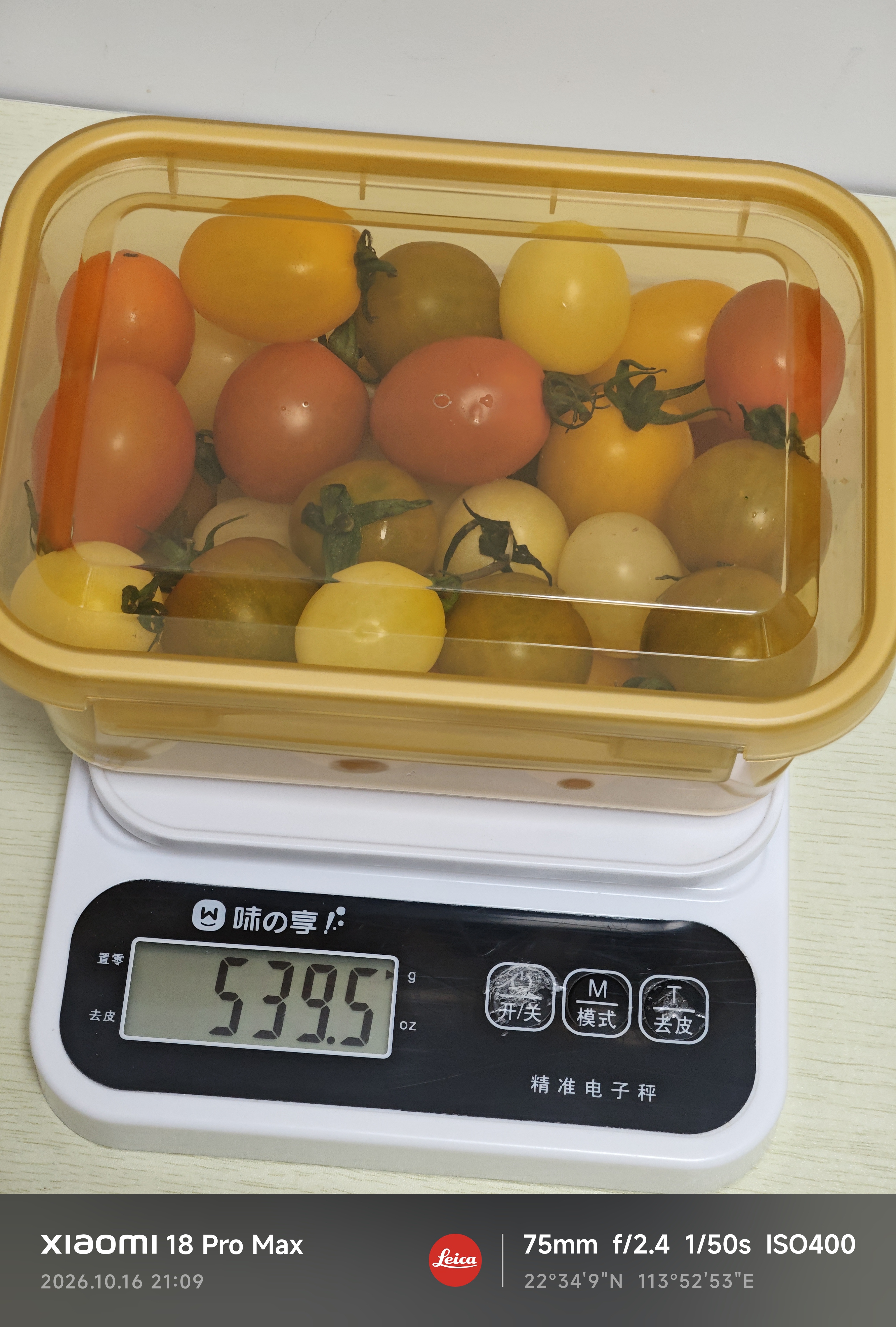 树可冰箱保鲜盒小学生水果分装盒冷冻肉蔬菜厨房专用食品级收纳密封盒 实拍图