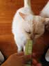 凯锐思猫条猫零食成猫幼猫呵护肠胃0添加美毛猫条120支【囤货装】 实拍图