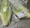 罗马生菜约500g 实拍图