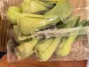 上海青约500g(油菜) 实拍图