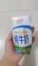 伊利【新鲜日期】纯牛奶250ml*21盒 3.3g优质乳蛋白早餐奶8-10月产 实拍图