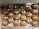 佳沛（zespri）新西兰金奇异果22粒巨大原箱146-175g猕猴桃水果礼盒 实拍图