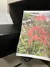 爱普生（EPSON）【6代新品】L3353墨仓式彩色家用AI学习打印机 L3251/L3255升级版(打印复印扫描 微信/无线 黑色） 实拍图